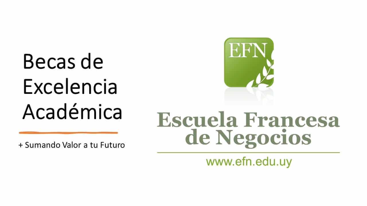 Becas de Excelencua Académica de la Escuela Francesa de Negocios